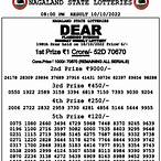 lottery nagaland result